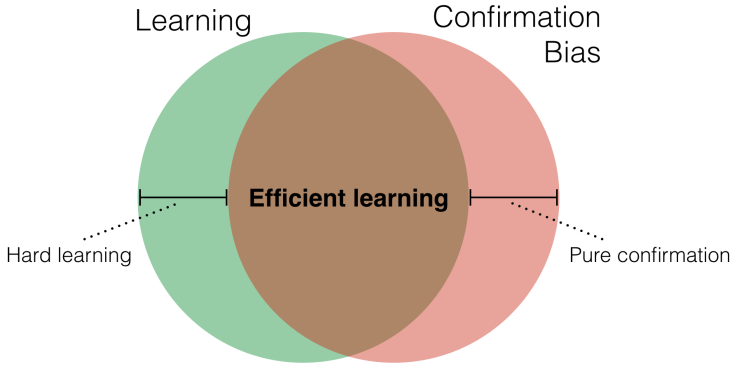 Screen Shot 2017-02-04 at 12.49.16 PM.png